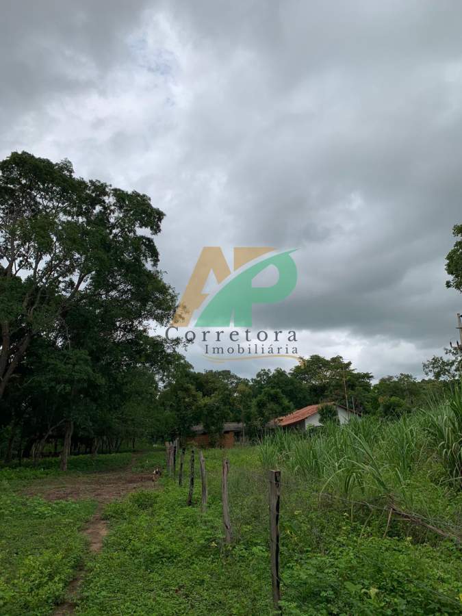 Sítio, 23 hectares - Foto 3