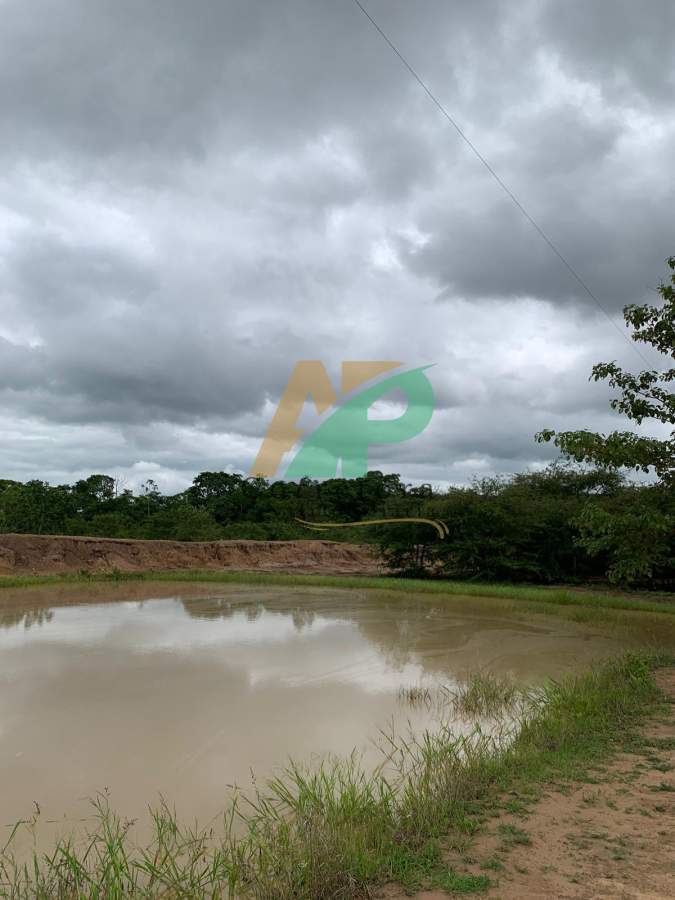 Sítio, 23 hectares - Foto 5