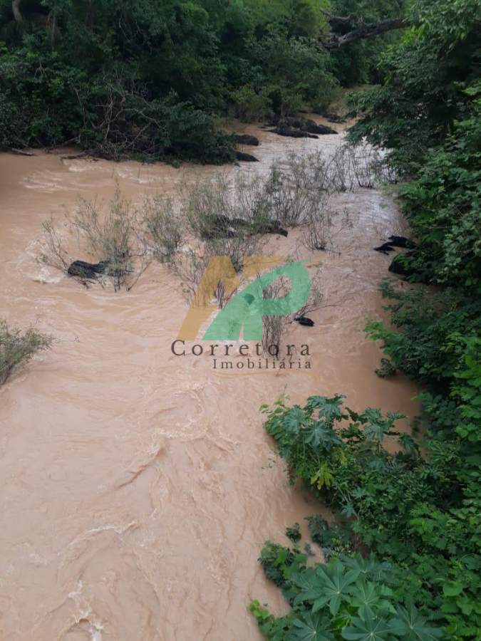 Sítio, 23 hectares - Foto 6