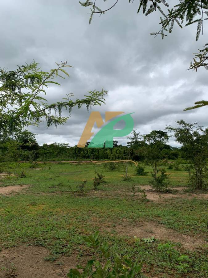 Sítio, 23 hectares - Foto 2