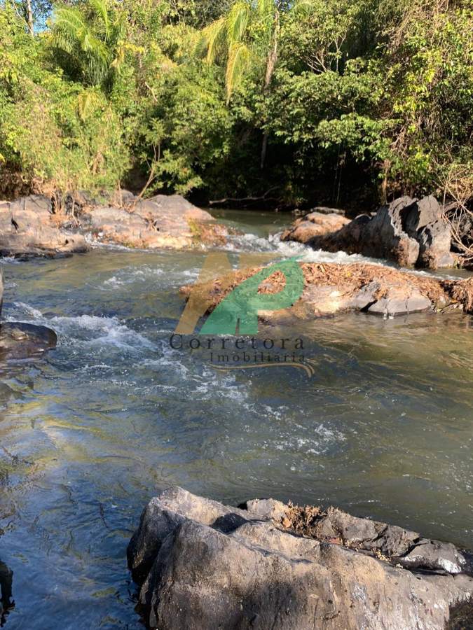 Sítio, 23 hectares - Foto 4