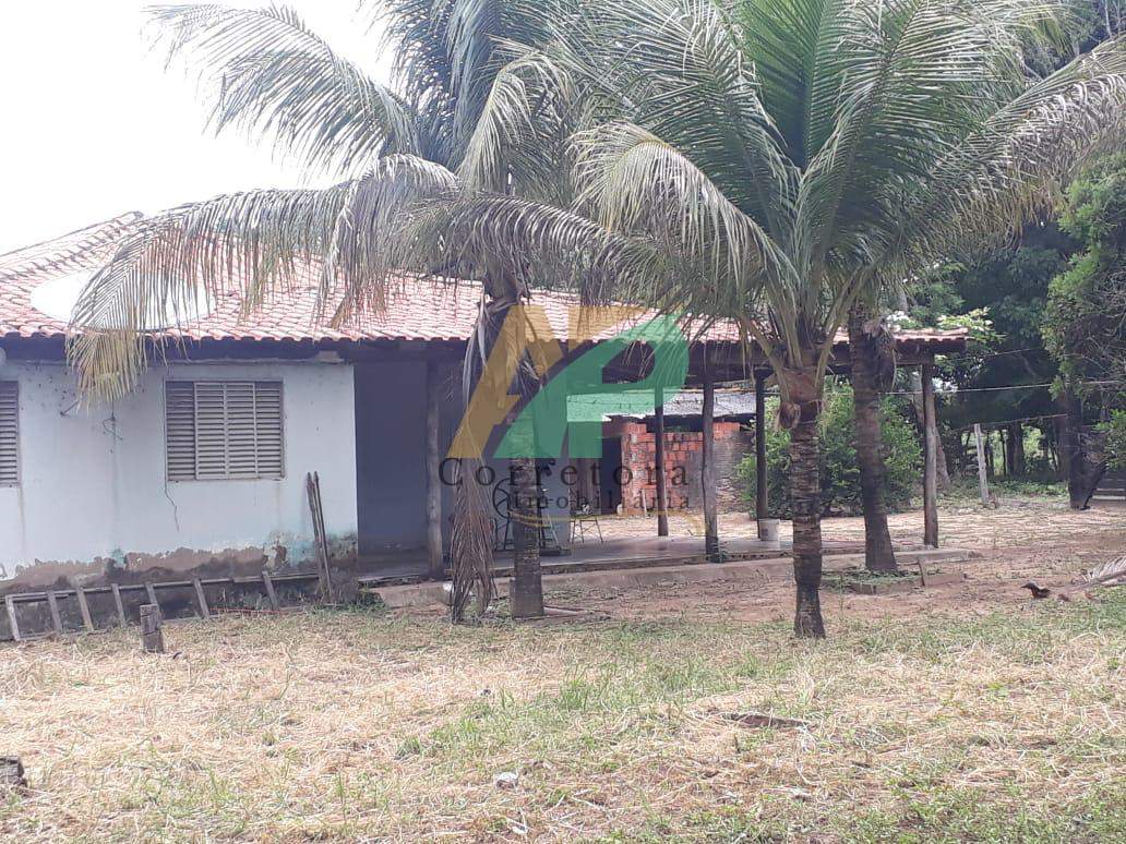 Sítio, 23 hectares - Foto 7