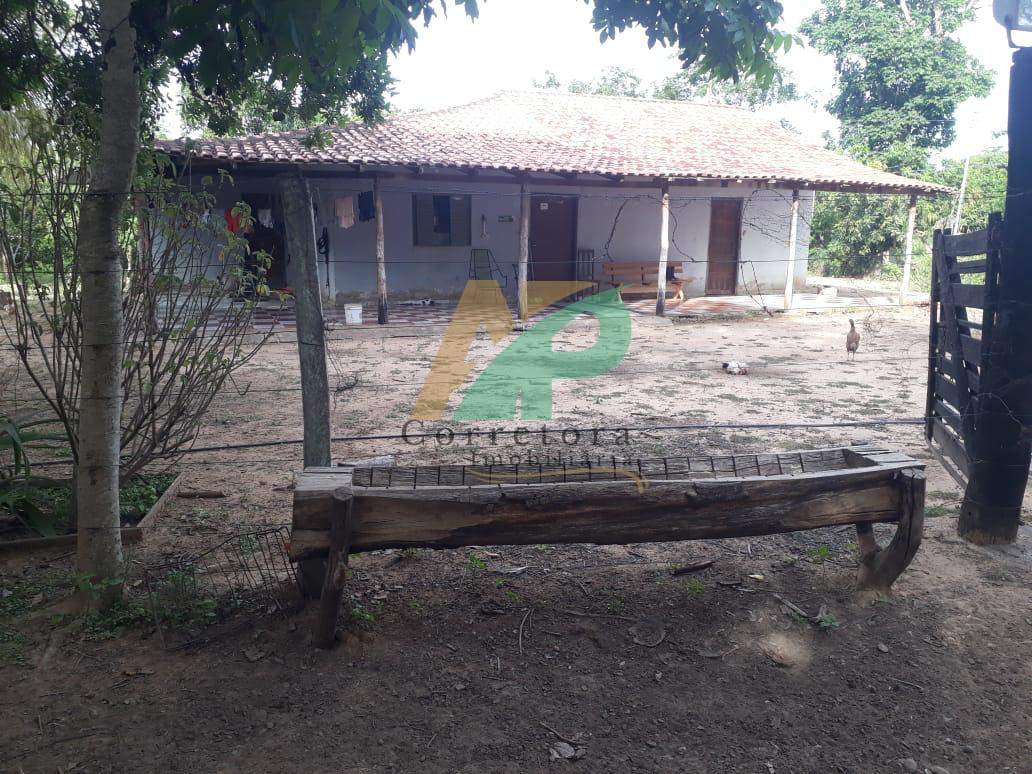 Sítio, 23 hectares - Foto 8