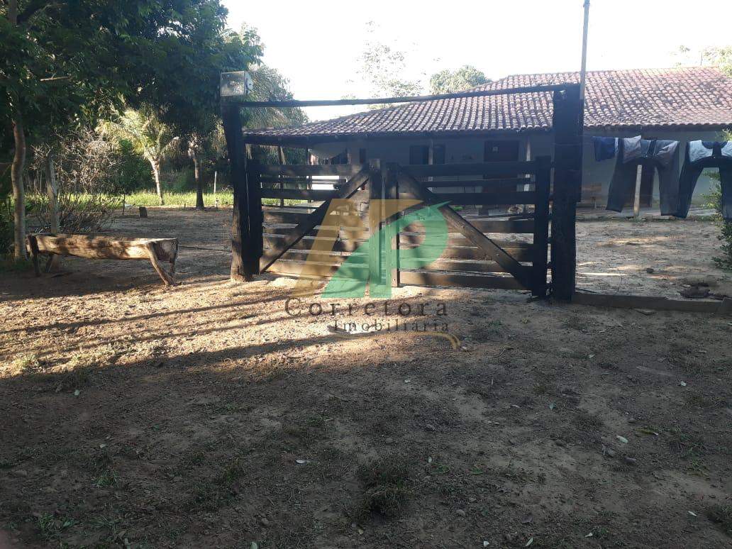 Sítio, 23 hectares - Foto 9