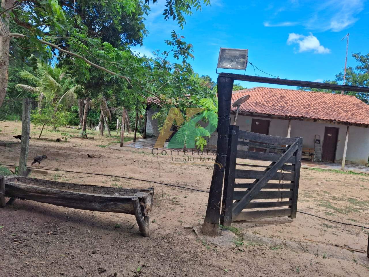 Sítio, 23 hectares - Foto 10