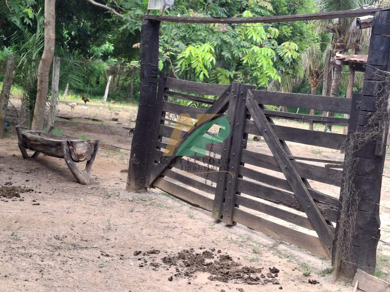 Sítio, 23 hectares - Foto 11