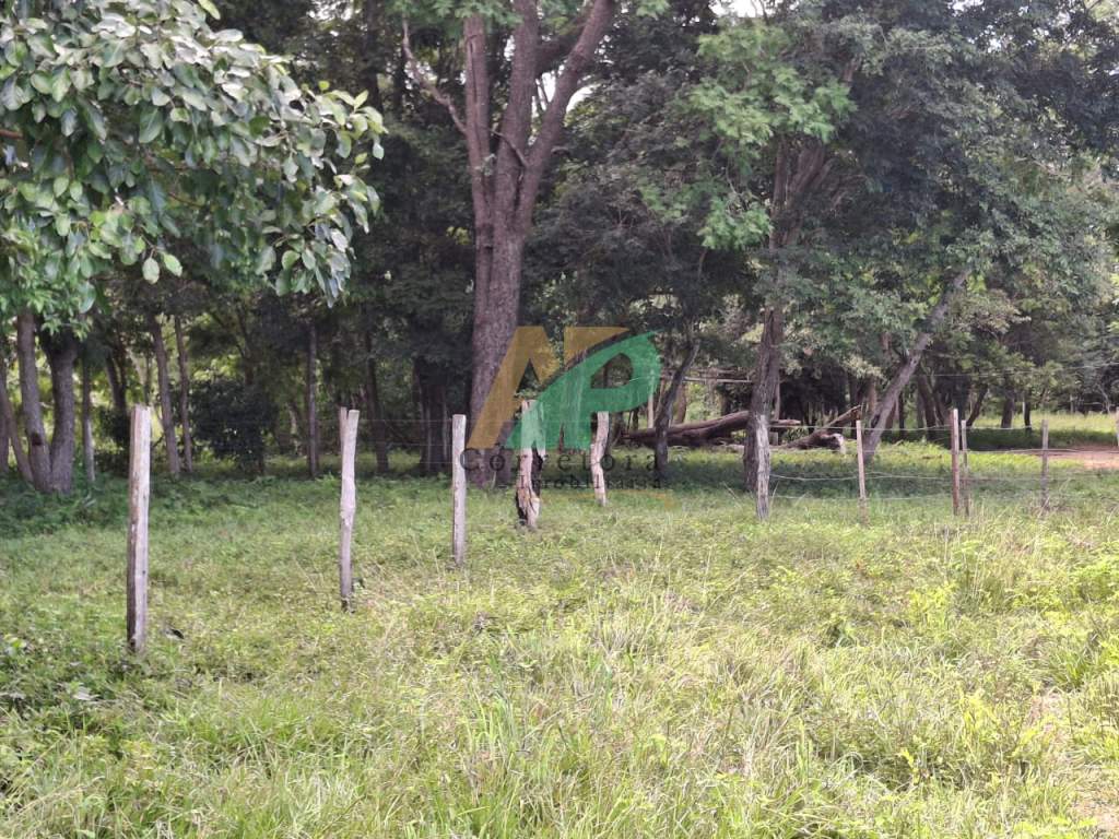 Sítio, 23 hectares - Foto 13