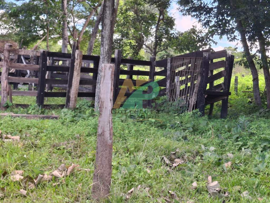 Sítio, 23 hectares - Foto 15