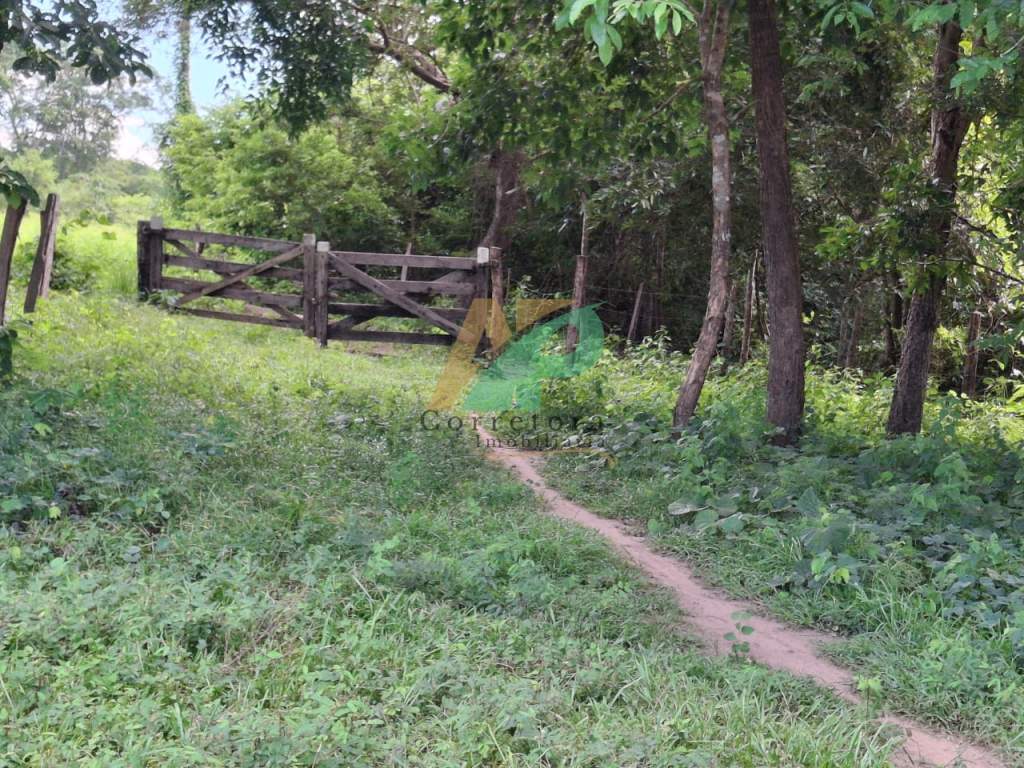 Sítio, 23 hectares - Foto 16