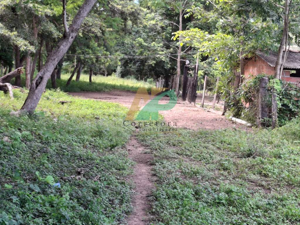 Sítio, 23 hectares - Foto 17