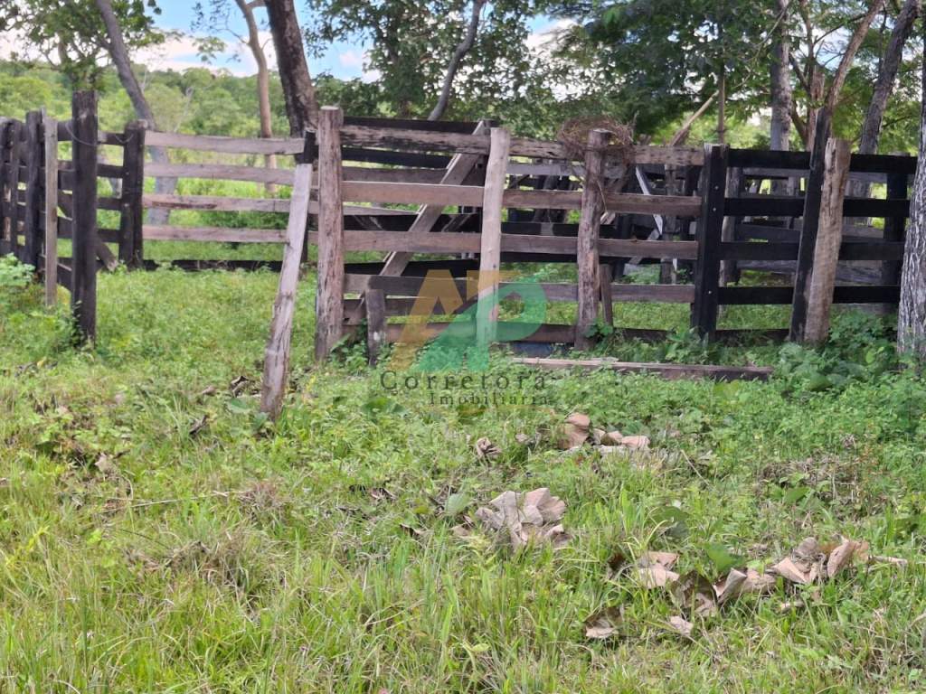 Sítio, 23 hectares - Foto 18