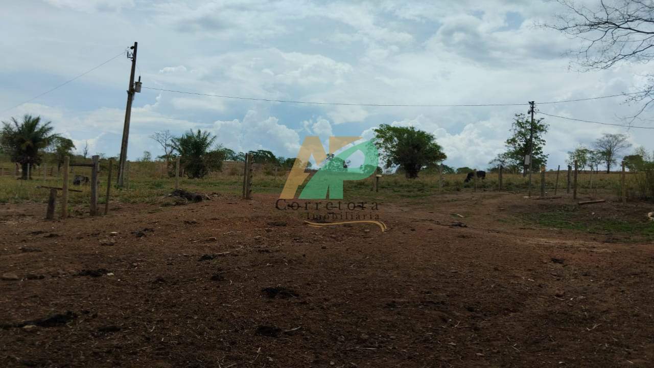 Fazenda, 25 hectares - Foto 11