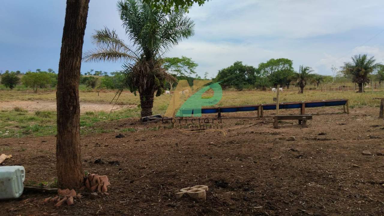 Fazenda, 25 hectares - Foto 14