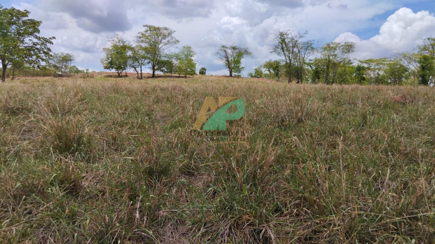 Fazenda, 25 hectares - Foto 7