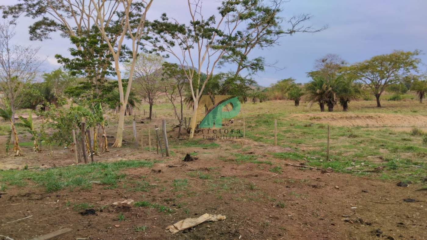 Fazenda, 25 hectares - Foto 8