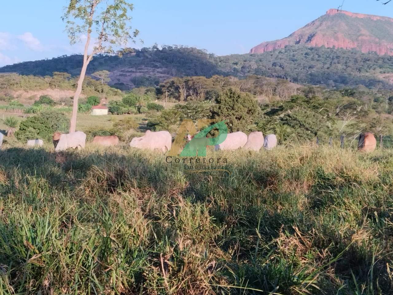 Fazenda, 25 hectares - Foto 6