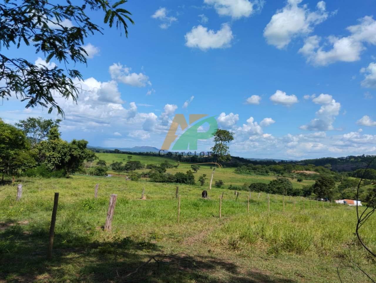 Fazenda, 25 hectares - Foto 1