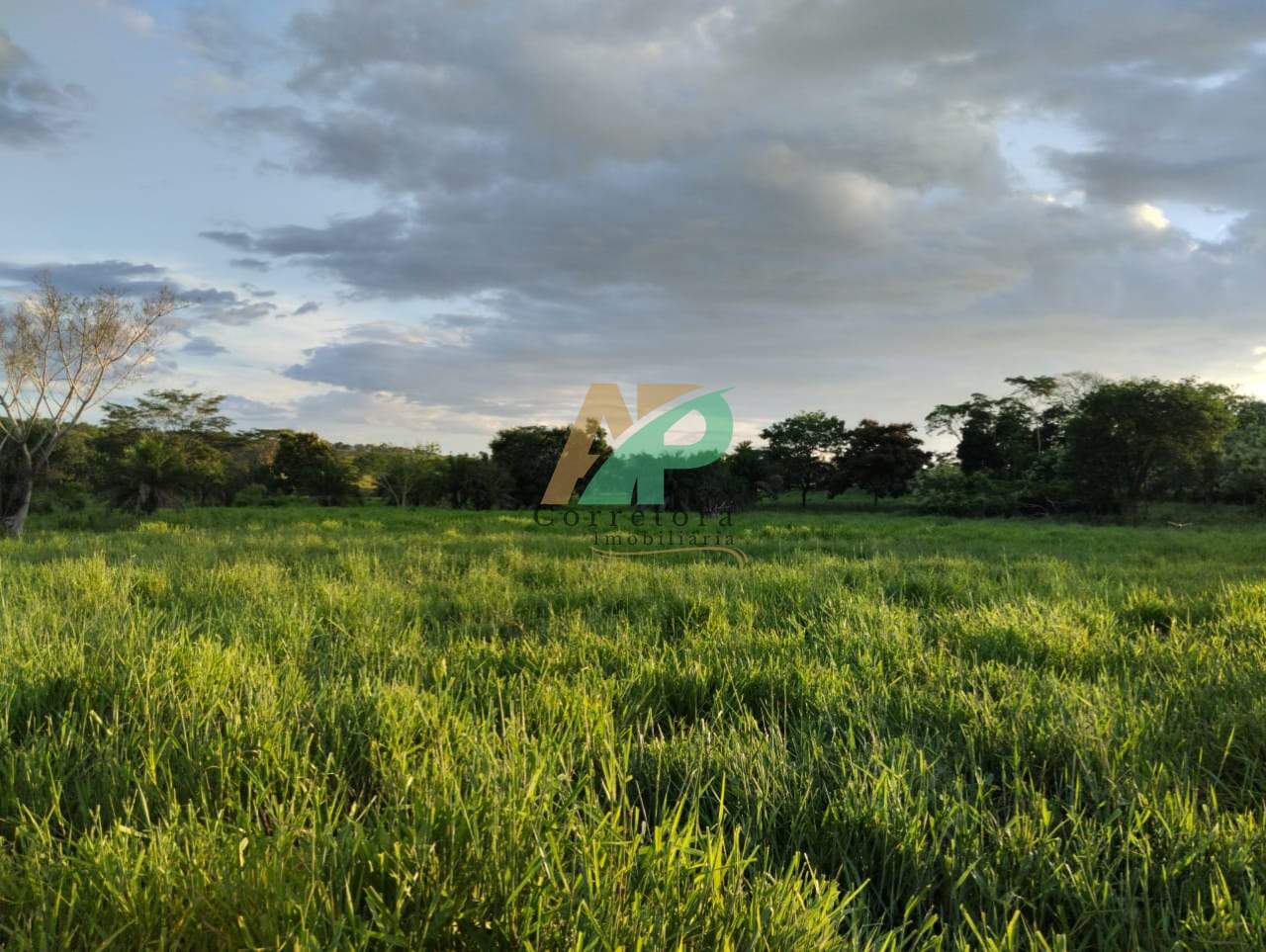 Fazenda, 25 hectares - Foto 2