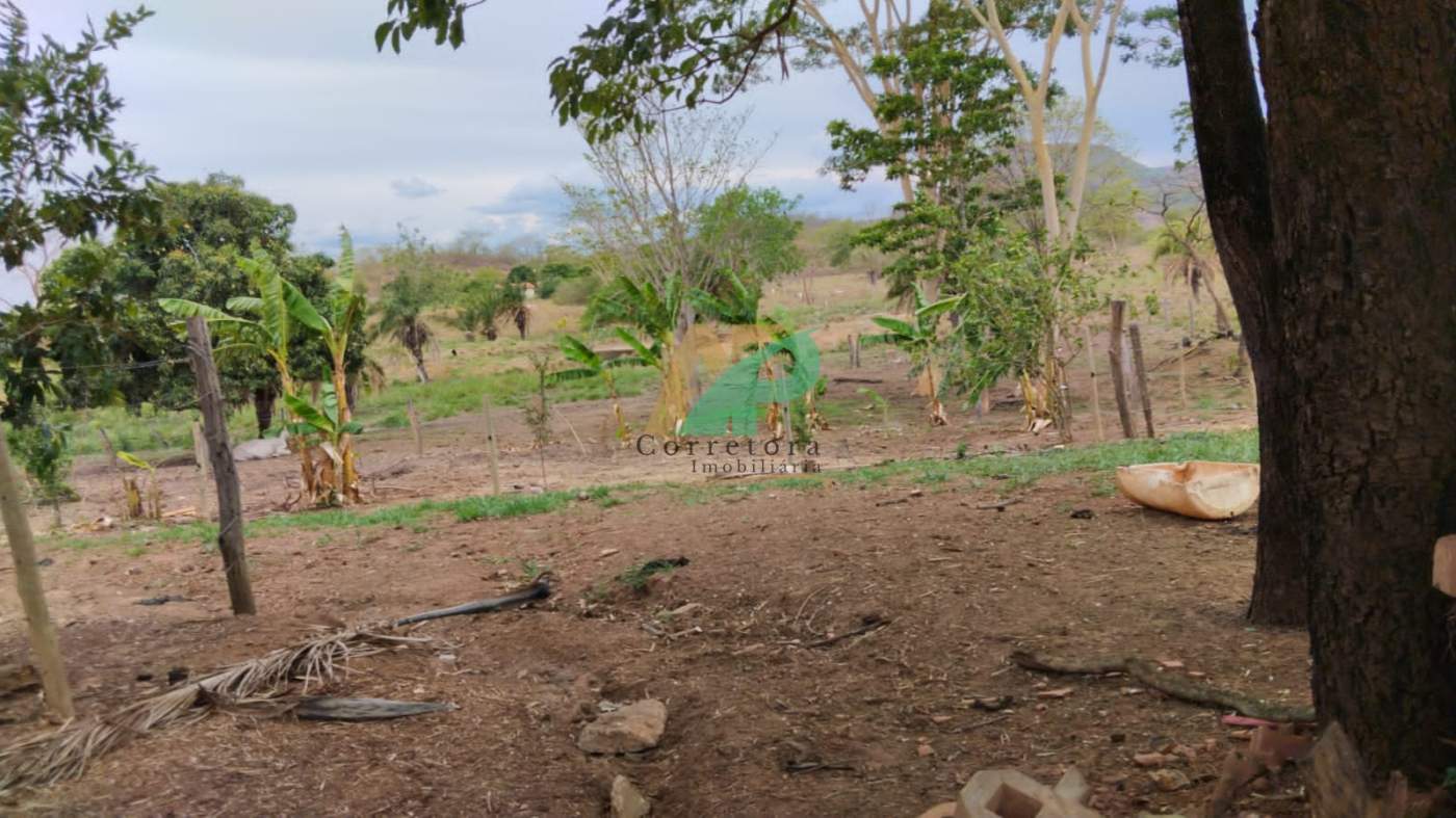 Fazenda, 25 hectares - Foto 12