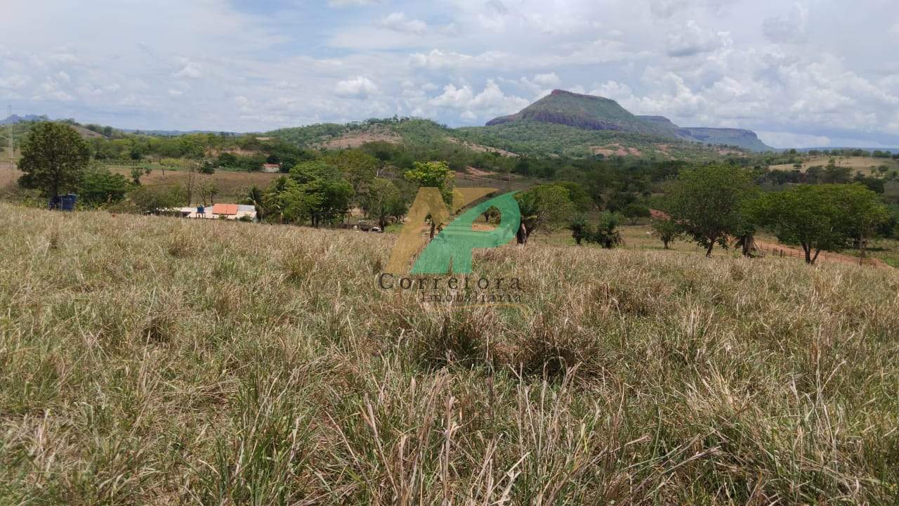 Fazenda, 25 hectares - Foto 9