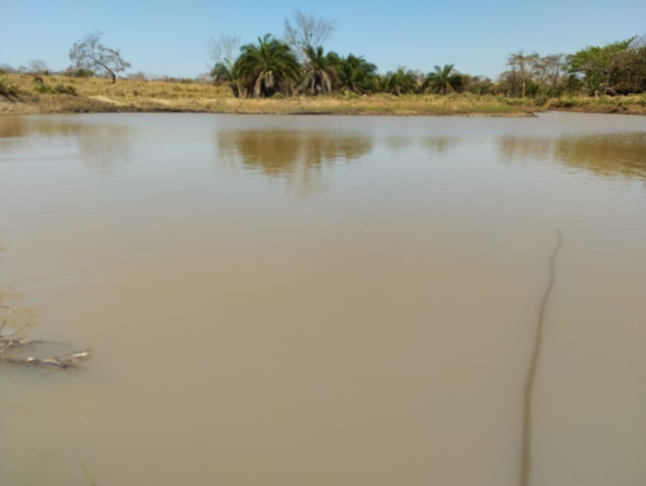Fazenda, 25 hectares - Foto 15